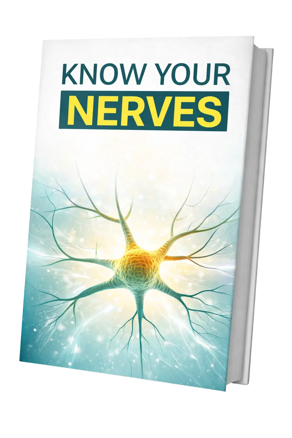 Know Your Nerves