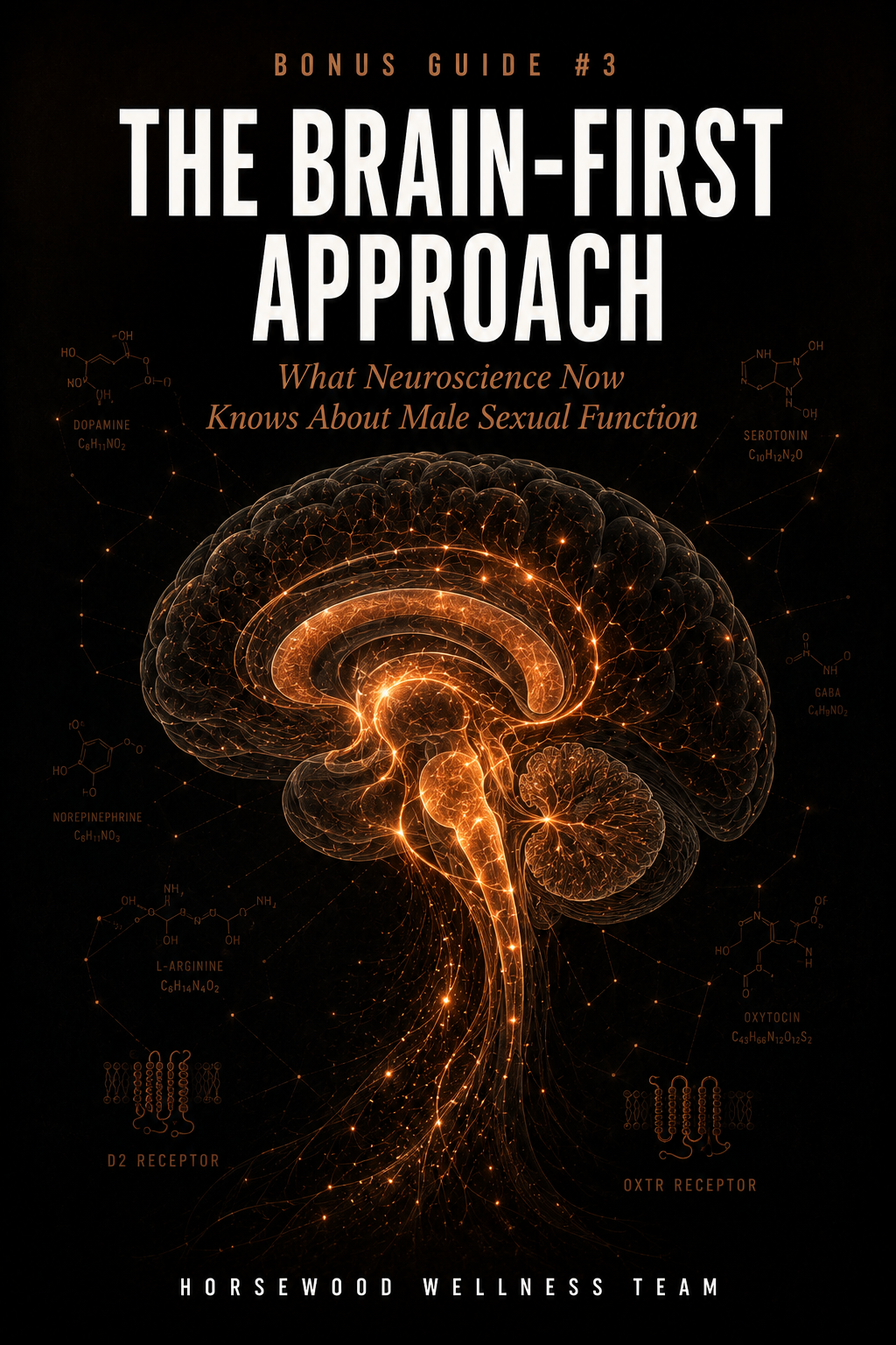 Bonus Guide 3 - The Brain-First Approach